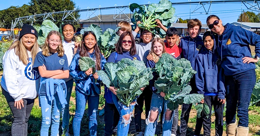 Farm To City Week Thanksgiving Meals Distributed To 1,000 Families ...