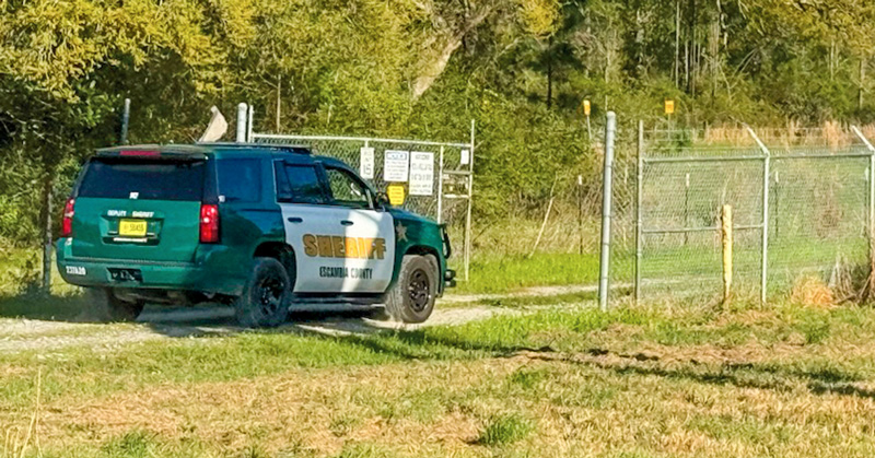Body Found In Wooded Area On Ascend Property: Foul Play Not Suspected : NorthEscambia.com - Vimarsana News