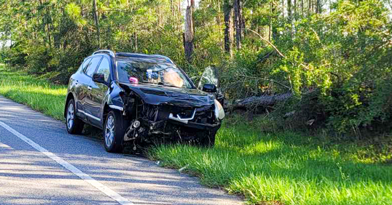 Highway 97 Driver Injured After Hitting Tree Downed During Storms Two Weeks Ago : NorthEscambia.com - Vimarsana News