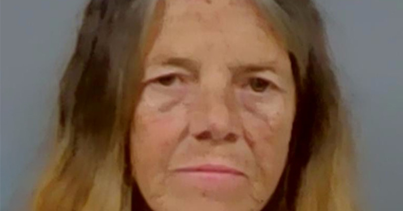 Bratt Woman Charged With Animal Cruelty For Horses That Allegedly Had No Food Or Water : NorthEscambia.com - Vimarsana News